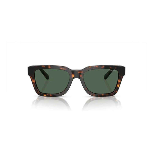 Brown Injected Sunglasses