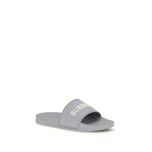 Gray Rubber Slides