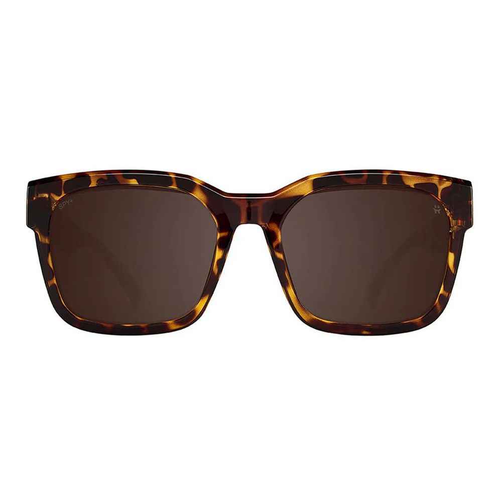 Brown Resin Sunglasses