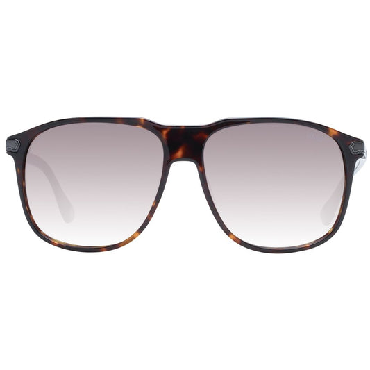 Brown Plastic Sunglasses