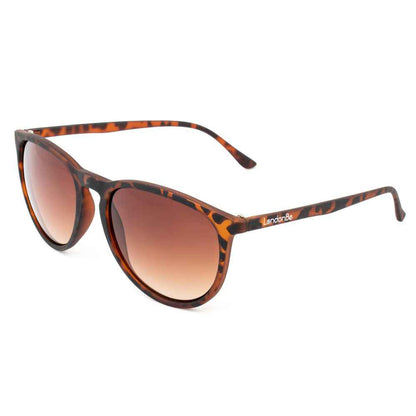 Brown Injected Sunglasses