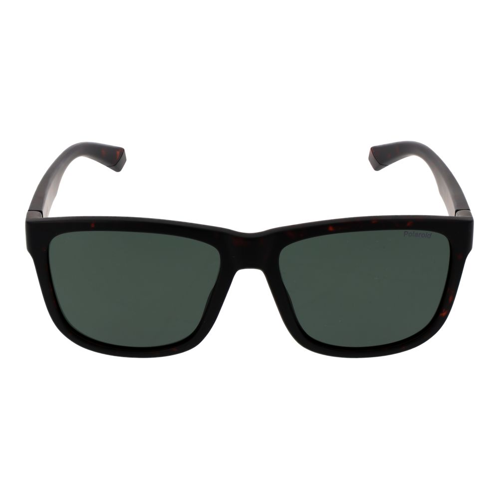 Brown Plastic Sunglasses