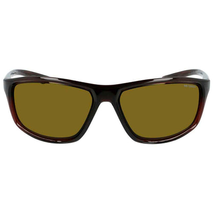 Brown Injected Sunglasses