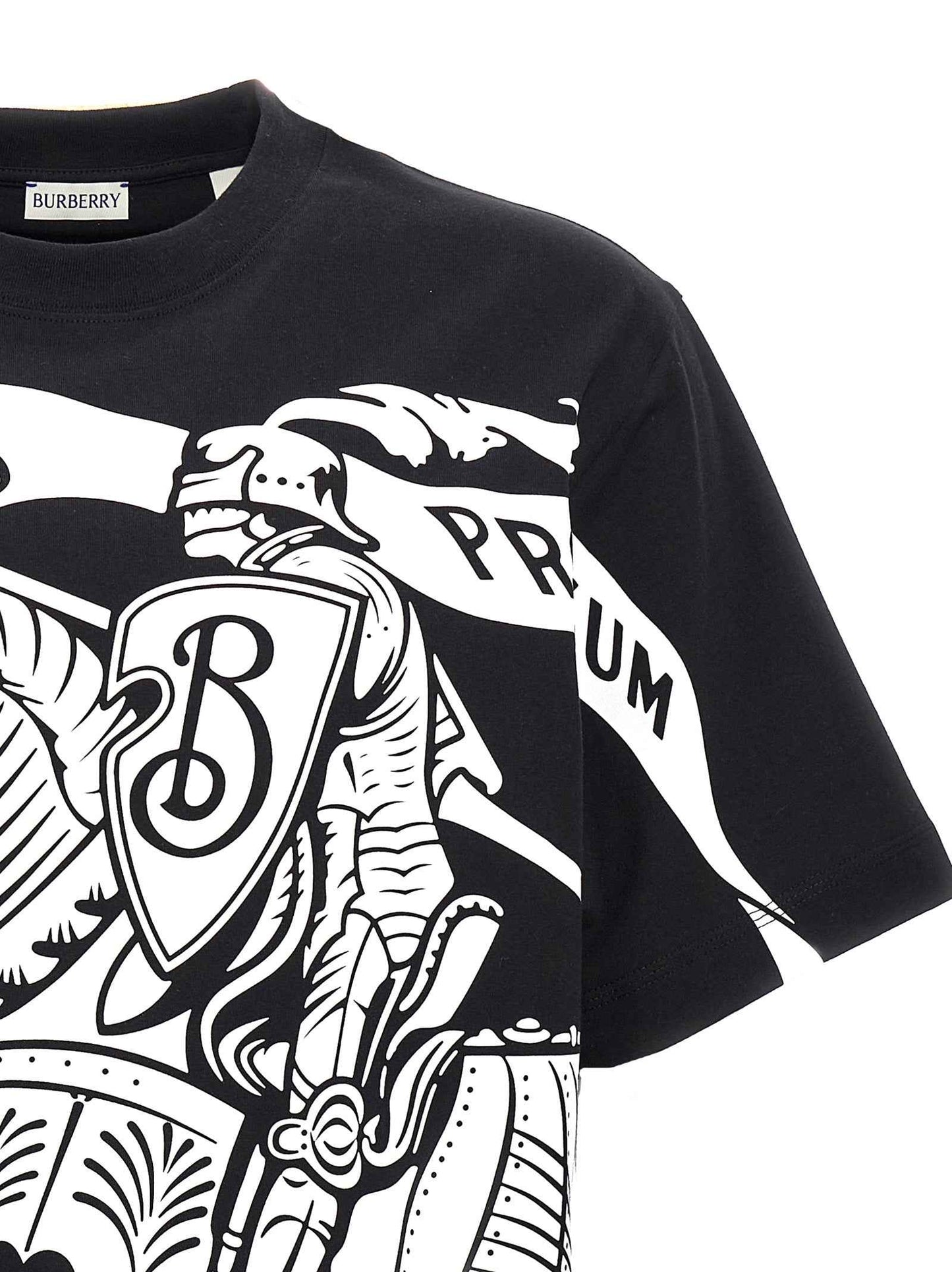 Bicolor Cotton T-Shirt