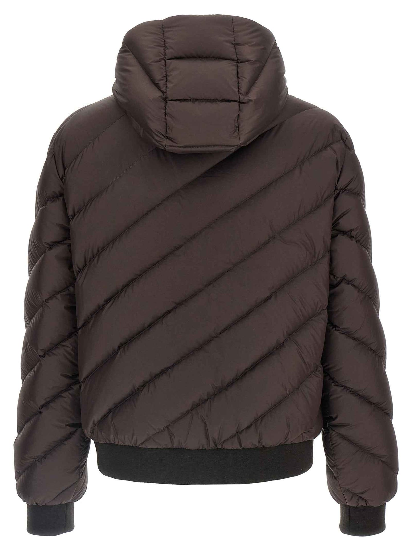 Multicolor Polyester Shell Jacket