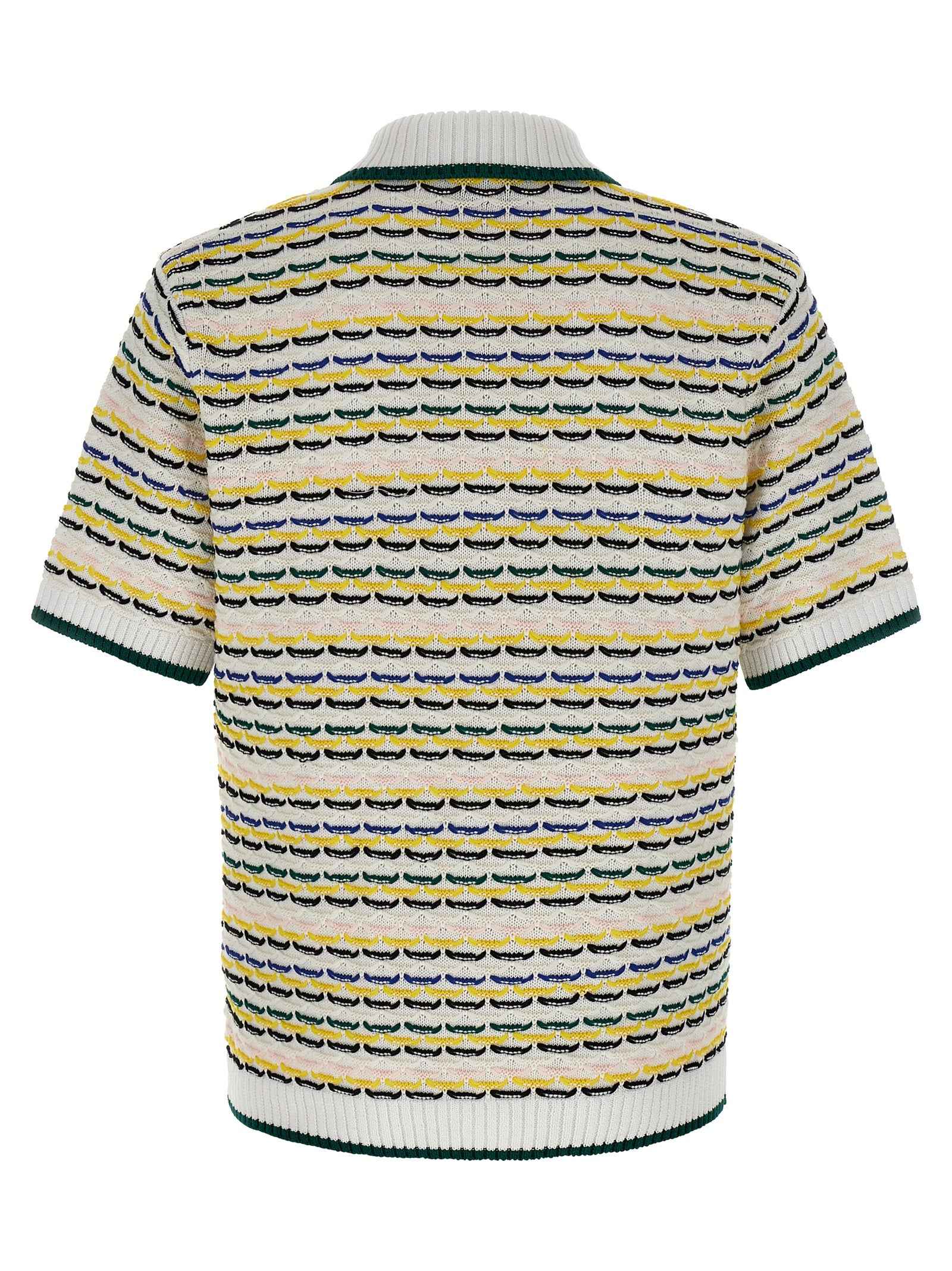 Multicolor Cotton Polo Shirt