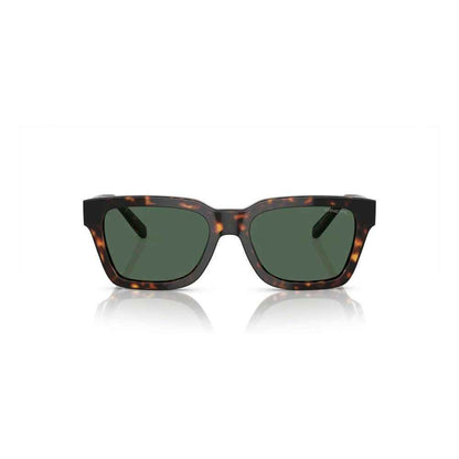 Brown Injected Sunglasses