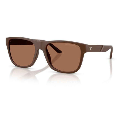 Brown Acetate Sunglasses