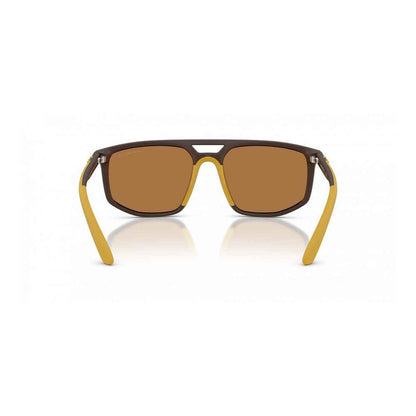 Brown Injected Sunglasses