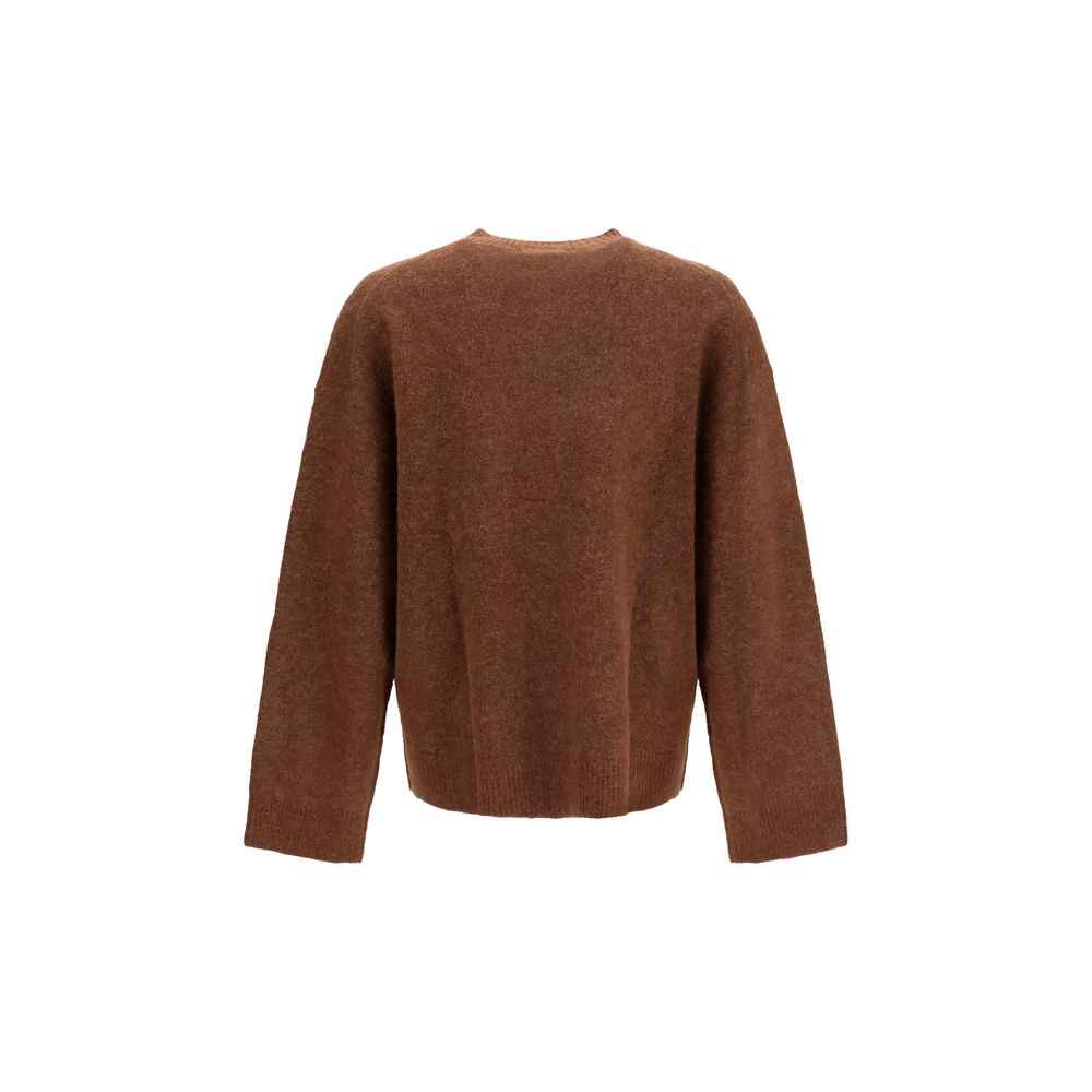 Brown Alpaca Vicugna Pacos Sweatshirt