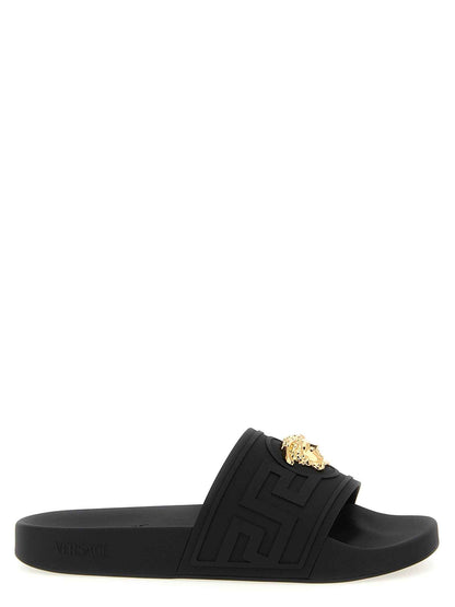 Black Glass Slides