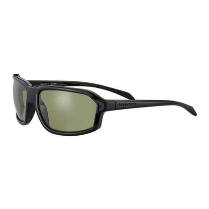 Black Resin Sunglasses
