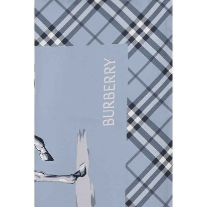 Blue Silk Scarf