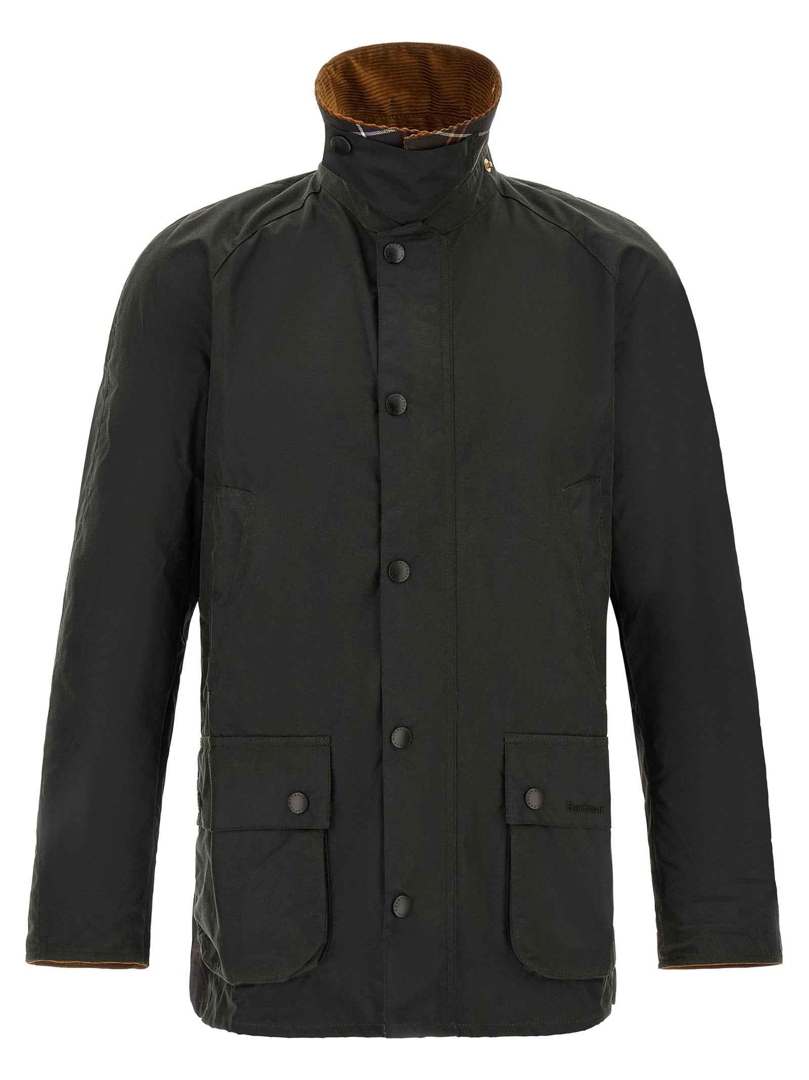 Bicolor Cotton Shell Jacket