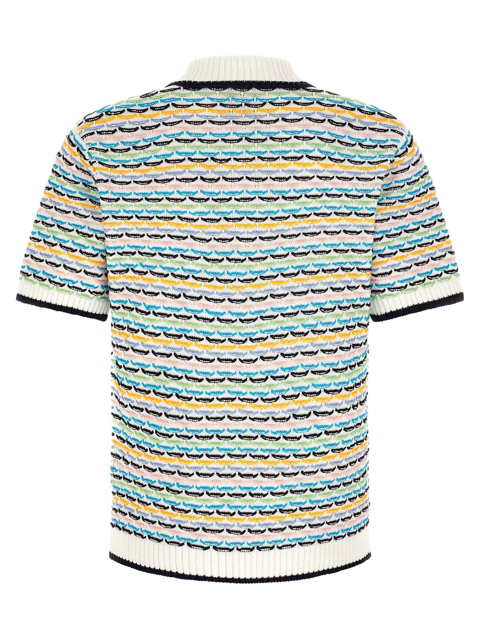 Multicolor Cotton Polo Shirt
