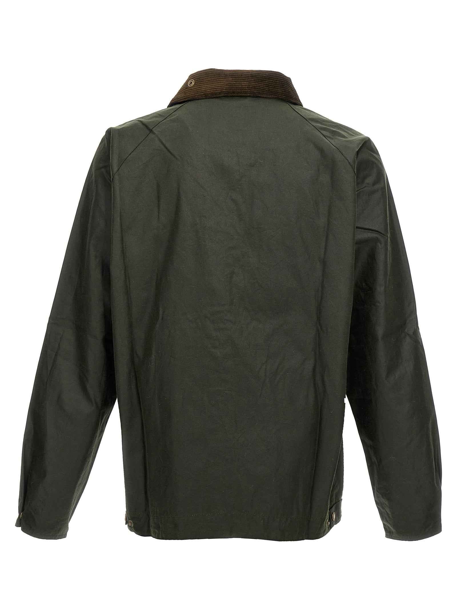 Bicolor Cotton Full-Length Jacket
