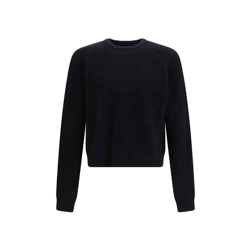 Black Alpaca Vicugna Pacos Sweatshirt