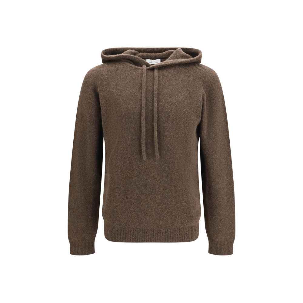 Brown Wool Oves Aries Hoodie