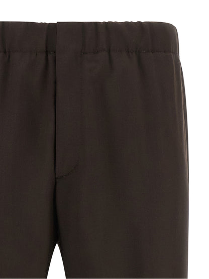 Brown Virgin Wool Casual Pants