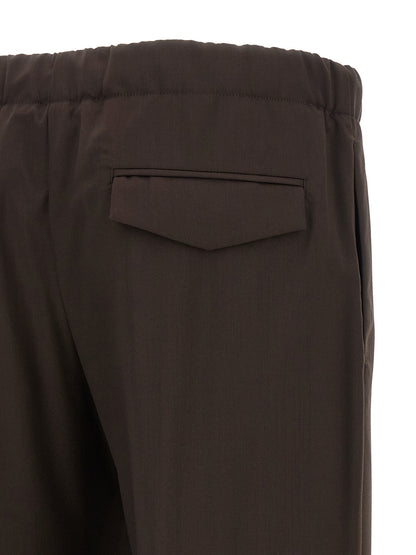 Brown Virgin Wool Casual Pants