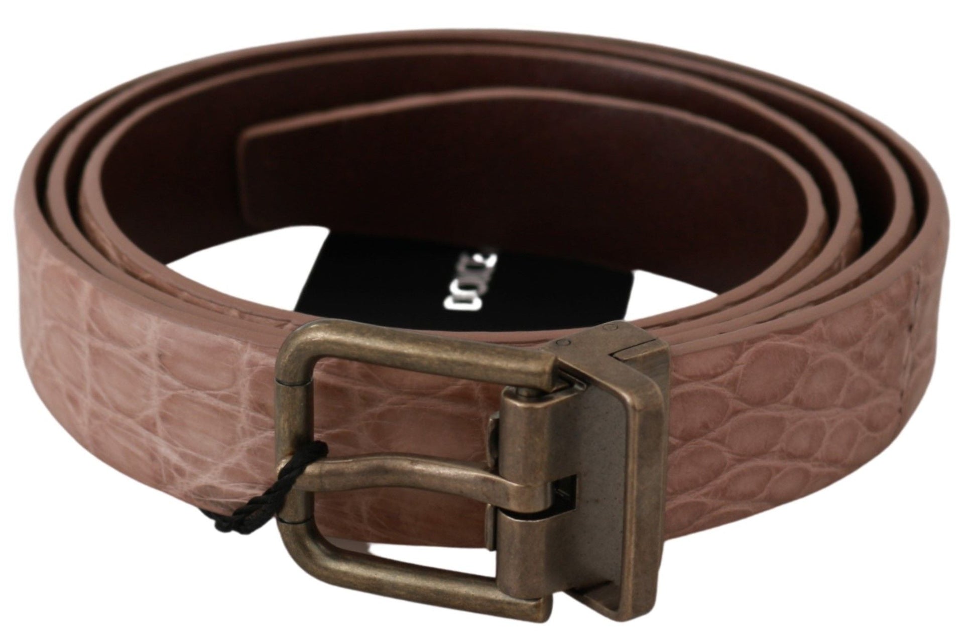 Beige Exotic Skin Gold Buckle Leather Belt Dolce & Gabbana