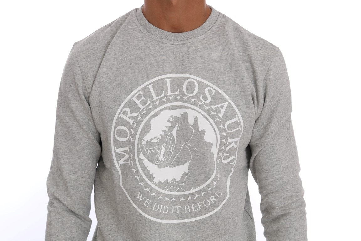 Gray Cotton Crewneck Pullover Sweater Frankie Morello