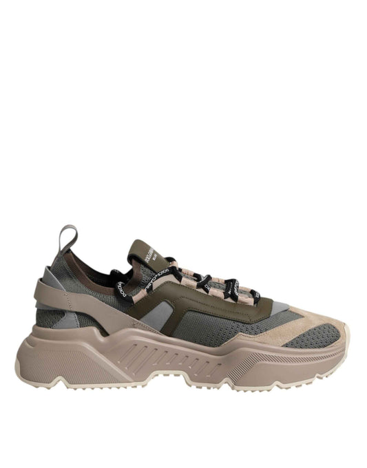Multicolor Daymaster Low Top Sneakers Shoes