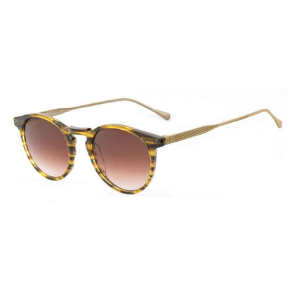 Brown Titanium Sunglasses